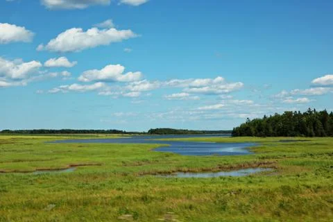 Rural landscape Stock Photos
