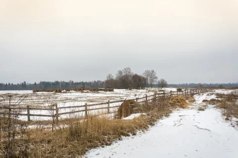 The rural landscape. Stock Photos