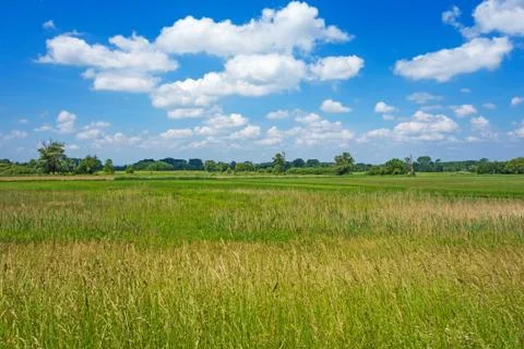 Rural landscape Stock Photos