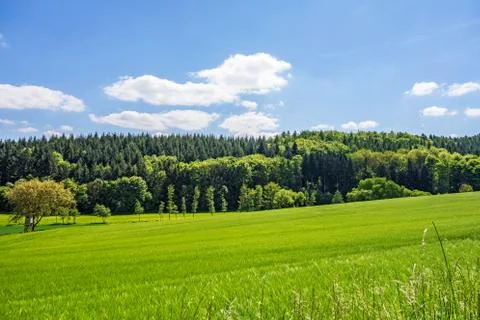 Rural landscape Stock Photos