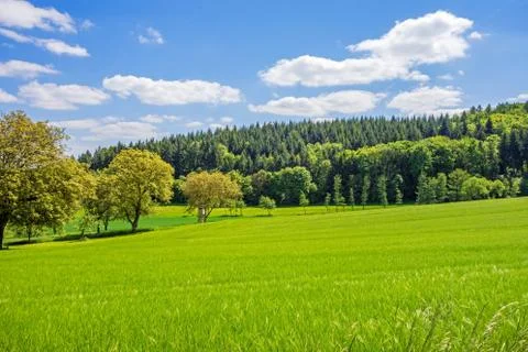 Rural landscape Stock Photos