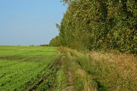 Rural landscape. Stock Photos