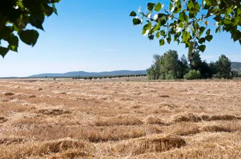 Rural landscape Stock Photos