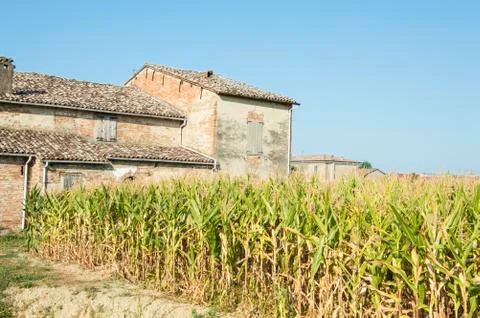 Rural Landscape Stock Photos