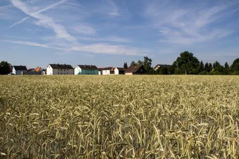 Rural landscape Stock Photos