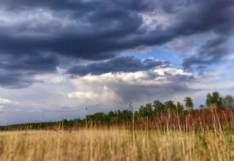 Rural landscape Stock Photos