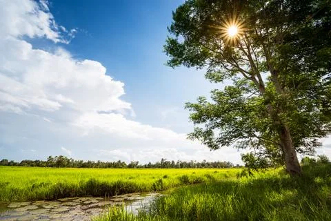 Rural landscape Stock Photos