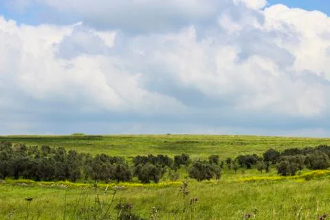 Rural landscape 스톡 사진