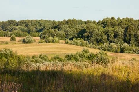Rural landscape Stock Photos