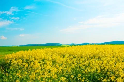 Rural landscape Foto stock