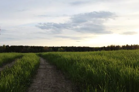 A rural landscape Stock Photos