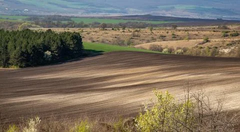 The rural landscape Stock Photos