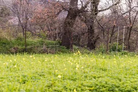 Ρural landscape Stock Photos
