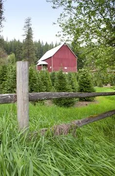Rural landscape. Stock Photos