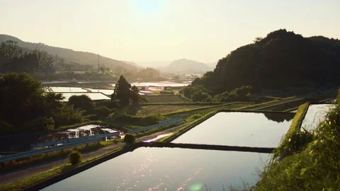 Rural landscape of reflection of rice field in Japan Stock Footage 75820150