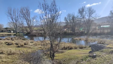 Rural landscape with river and bare trees in winter Stock Footage 340326205