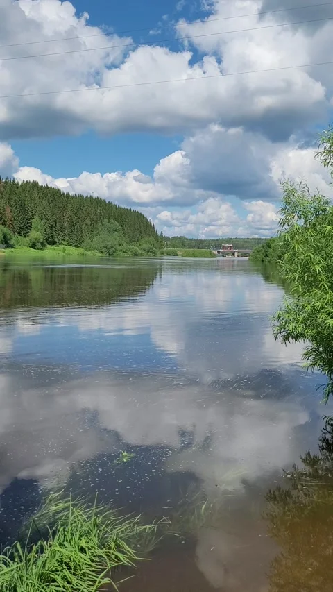 Rural landscape with river and clouds in summer. Vertical video. Video stock 278227975