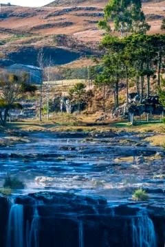 Rural landscape with river, waterfall, pine trees and field Stock Photos