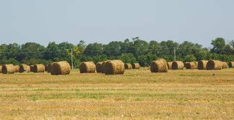Rural Landscape. Roll of Haystack on the Field.  Stock Photos