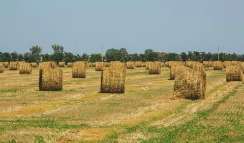 Rural Landscape. Roll of Haystack on the Field.  Stock Photos