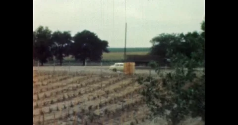 Rural landscape in Soviet Baltic republic with vineyard and car on the road 库存影片 332545909