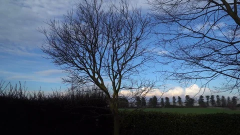 Rural landscape in spring, sunset with beautiful clouds Video stock 89580456