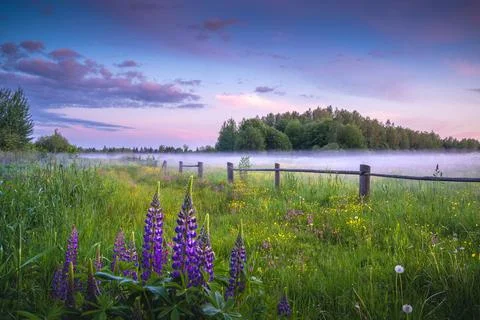Rural landscape in springtime Stock Photos