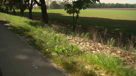 Rural landscape summertime Stock-Footage 90708837