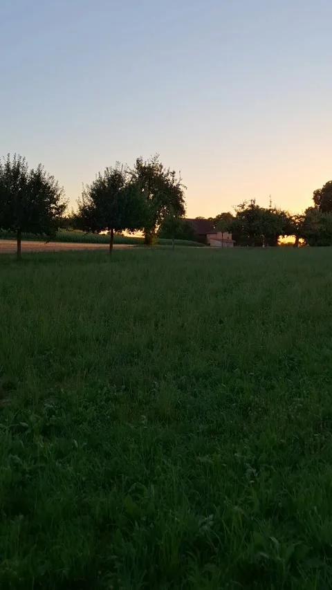 Rural landscape at sunset. Stock Footage 341525006