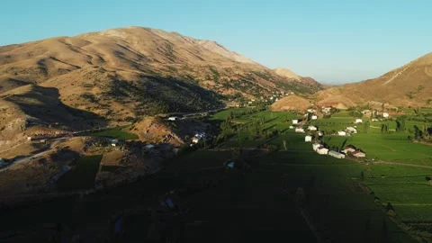 Rural Landscape at Sunset with Lush Fields: A serene rural scene at sunset. Stock Footage 258683210