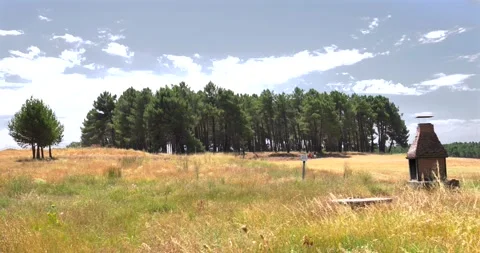 Rural landscape with trees and barbecue under a cloudy sky Vídeo Stock 344043680