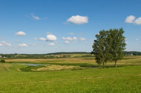 Rural landscape with two trees Stock Photos