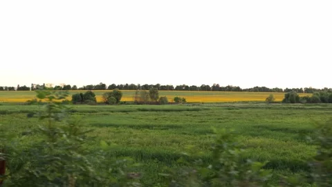 Rural landscape, view from the car window Stock Footage 202281578