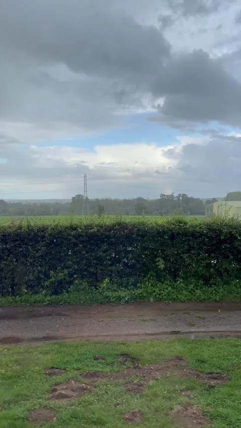 A rural landscape view featuring a dense green hedge, agricultural field Stock Footage 328102220