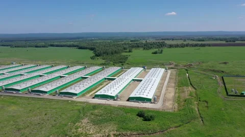 Rural landscape view, pig farm 库存影片 153250341