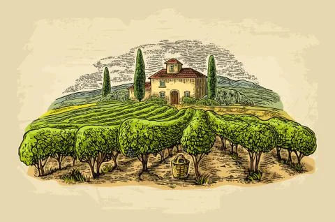 Rural landscape with villa, vineyard fields and hills. Vector engraving Stockillustratie