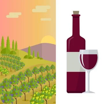 Rural Landscape with Vineyard Stock Illustration