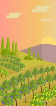 Rural Landscape with Vineyard Stock Illustration