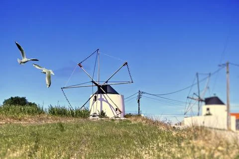 Rural landscape with a windmill Stock Photos