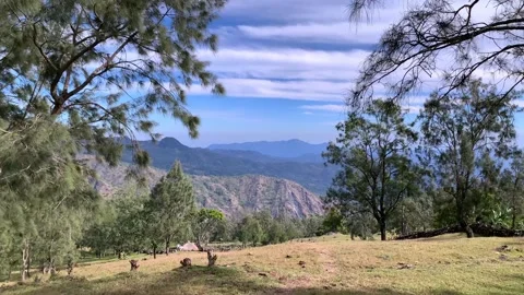 Rural lanscape. Stock Footage 247233902