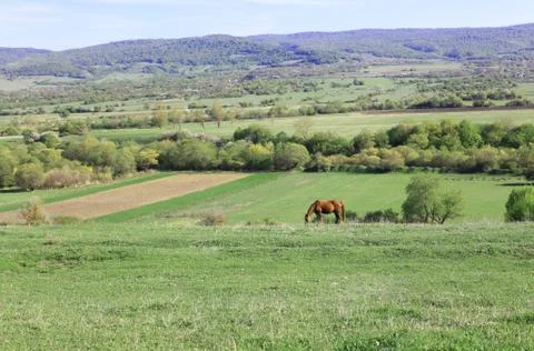 Rural lanscape Stock Photos