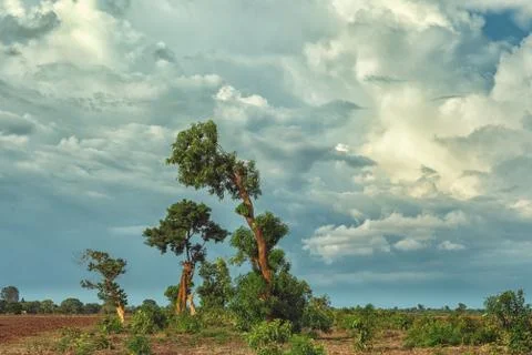 Rural Malawi Stock Photos