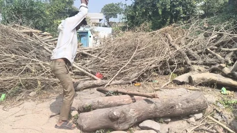 Rural Man Chopping Firewood Using Axe Stock Footage 327961779