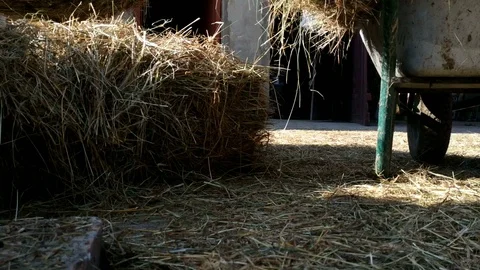 Rural man Stock Footage 98213162