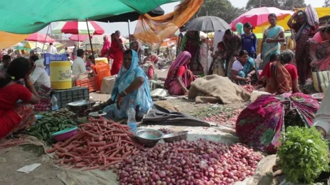 Rural Market Stock Footage 208554059