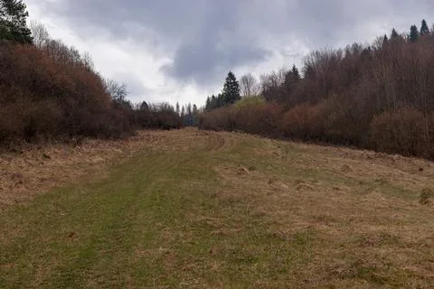 Rural Meadow Path Leading Through Forest Under Dramatic Cloudy Sky Stock Photos