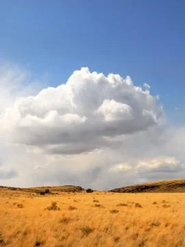 Rural meadow with storm clouds Stock Photos