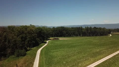 Rural meadow with timber stacks and Swiss tree line Video stock 331897503