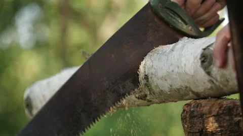 Rural men sawing trees Stock Footage 56757672