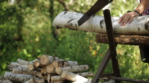Rural men sawing trees Stock Footage 56766677